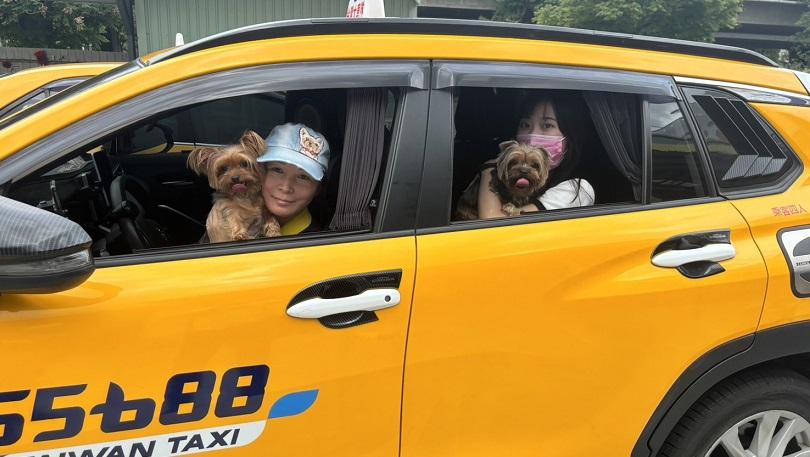 中市推廣寵物友善計程車　便利毛孩共乘搭車