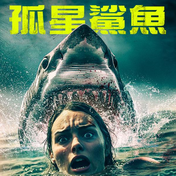 孤星鯊魚Lone Star Shark
