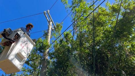 鳳凰颱風逼近！台電動員4000人整備待命　全力戒備防颱