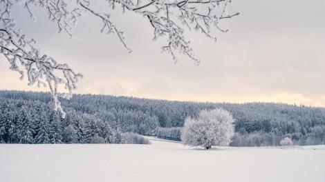 冬至一連15天　命理師揭「5大翻盤轉運生肖」