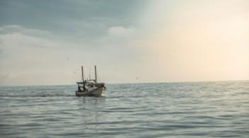 為生存吃蟑螂、喝龜血 祕魯漁民困海上95天獲救