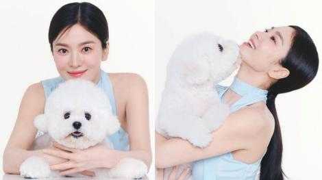 宋慧喬IG曬恩愛 萌寵合照擄獲犬派粉絲的心