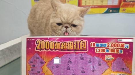 被店貓招攬進店兌獎！他再加購刮刮樂　幸運刮中100萬元