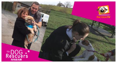 寵物TV《狗狗搜救隊》真實救援現場 見證人與狗的信任與勇氣