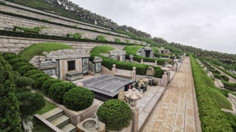 2026年「清明節」不能回家掃墓該怎麼辦？楊登嵙告訴你