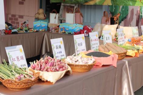 七股「紅蔥頭」文化活動今登場　邀民眾體驗農遊美味