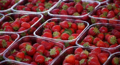 去日本買草莓！在地人曝1招「挑選訣竅」她驚：好吃10倍