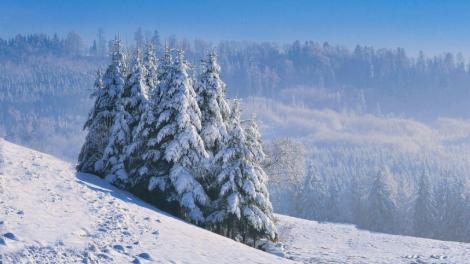 節氣「大雪」到！財運最旺的星座TOP5一次看