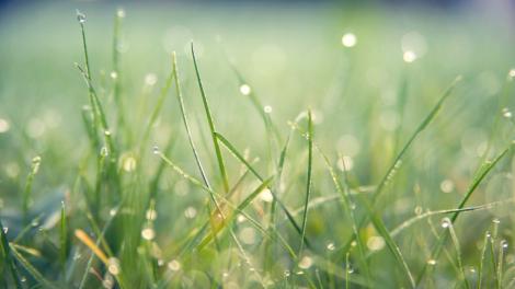 2/18「雨水」節氣至！鼠虎豬財運旺、蛇有貴人、「這兩生肖」走桃花