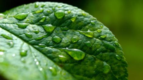 節氣「雨水」到！連續半個月「六大禁忌」一次看