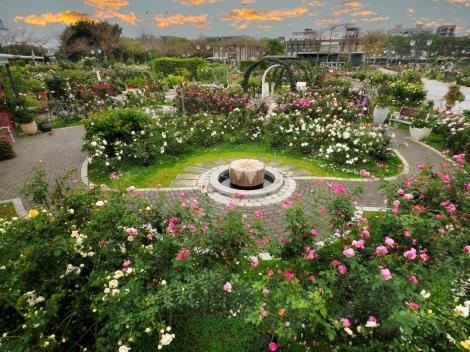 「花IN台北」AR幻彩動物雲入鏡　伴你賞美麗玫瑰