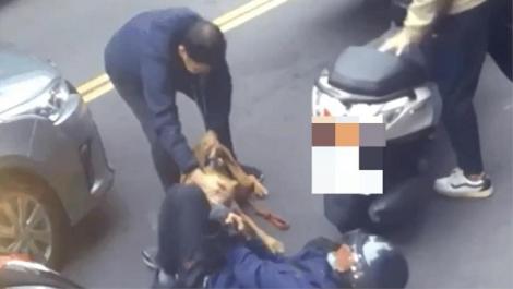 比特犬失控咬人早有先例　飼主鄰居「社區內遭攻擊」濺血送醫