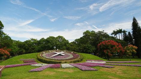花鐘正美！蝴蝶自來　青年公園秋日最賞心