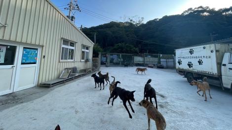 毛寶貝專屬限定！新北八里動物之家舉辦歡樂禮物趴