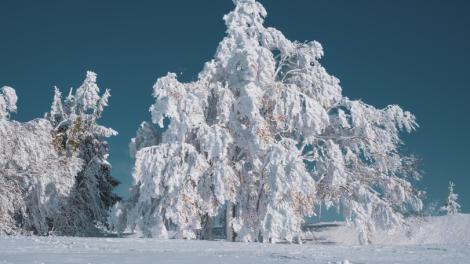 立冬到！財富再度洗牌　名人情感問題易被清算　7星座相對好運
