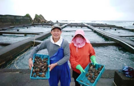 海鮮寶庫澳底漁港　在地漁村海味料理簡單又美味！