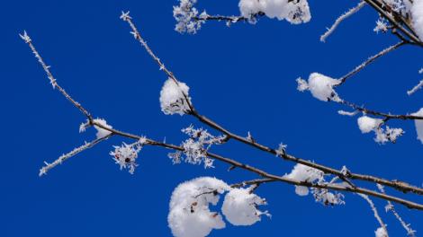 小雪節氣到「冷風點火」清算期　命理師：真相易被掀開！天蠍6星座有小確幸