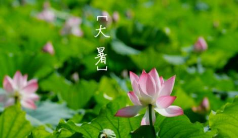 恭喜三星座！下周一「大暑」　星座專家：財運旺爆