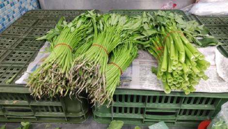 空心菜為何經常炒黑？　資深菜販揭「油亮油亮」五大關鍵