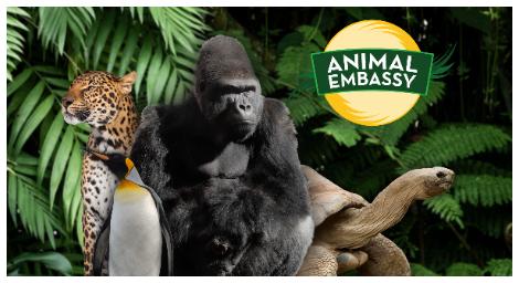 在照護與理解中 學會尊重生命《動物大使館 Animal Embassy》