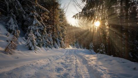 「霜降」藏轉機！4大生肖沉默佈局　初霜後悄悄崛起