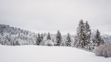 週日「小寒」節氣到！三星墮財運飆升　快去買彩券