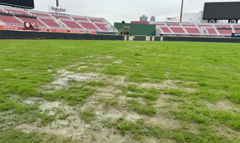 桃園棒球場還沒搞定！外野草皮狀況差　樂天真主場首戰遙遙無期