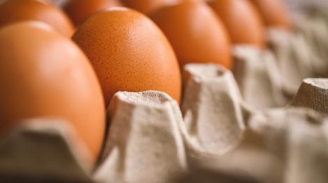 蛋價2個月內四跌！外出用餐「加顆蛋還要20元」　蛋商回應了
