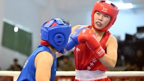 台中健兒氣勢如虹　武術、拳擊創隊史新猷再添榮光