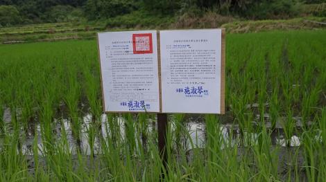 無照駕駛多次被抓！積欠40萬罰單不付　法務部這樣做...他嚇到馬上繳清