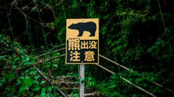日本宇都宮市鬧熊患　近百所學校被迫關閉