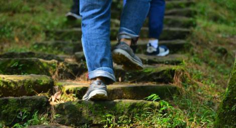 清明掃墓小心！疾管署曝「遭毒蛇咬傷」5招自救保命法