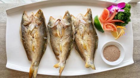 來新北吃午仔魚！漁人碼頭有絕妙料理