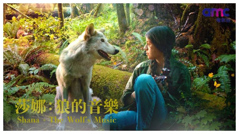 《莎娜：狼的音樂》靈魂療癒之旅
