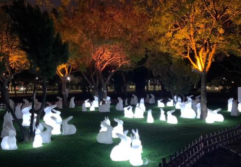 把握最後拍照機會！ 台中中央公園「兔兔燈」1/18撤展