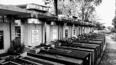 免費掃墓公車自3月15日起提供服務　營運天數增加至10天