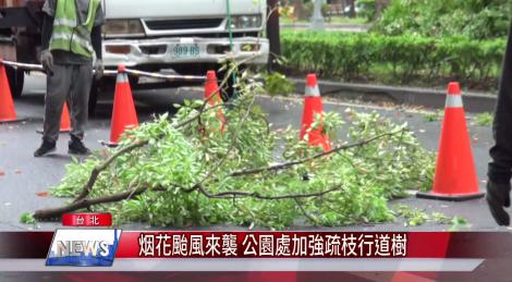 烟花颱風來襲 公園處加強疏枝行道樹
