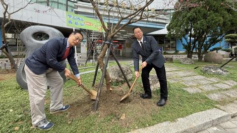 美國友好聖蓋博市長訪板橋　共植櫻花樹深化友誼