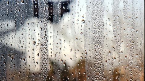 今天「全台陰雨」　明天東北季風再增強