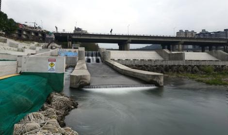 新北河川重現生機　四大策略奏效