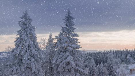今天立冬！楊登嵙教你6大開運養生與禁忌