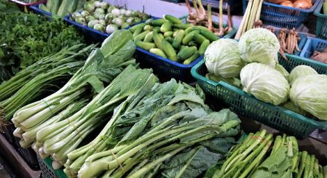 不打針也能瘦！營養師大推「瘦瘦菜」：平價又長期維持