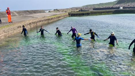 海龜誤入貢寮九孔池　新北動保處聯合啟動救援行動