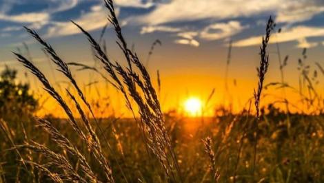 未來2周將迎光明！　4生肖預備備...將遇貴人相助