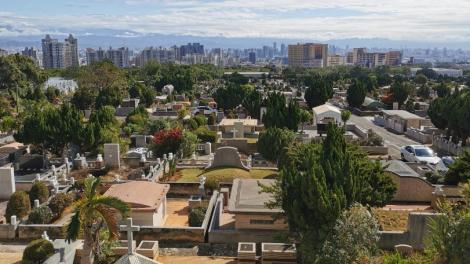 4月4日清明節！不能回家掃墓該怎麼辦？命理師解答