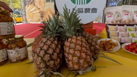 鳳送好梨！新北、臺南共同推廣山上區當季鳳梨