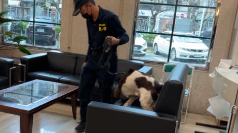 汪汪隊出擊！毒品分裝工廠藏身「回收場」緝毒犬立功
