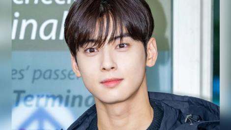 車銀優涉高額避稅爭議　母親設公司分流收入成調查關鍵