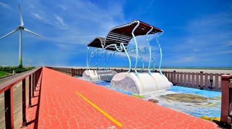 推動海岸生態復甦！　中市觀旅局揭大安海岸林復育成果