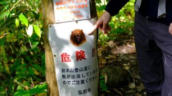 日本森林慢跑遇黑熊襲擊 紐西蘭男手臂被咬斷